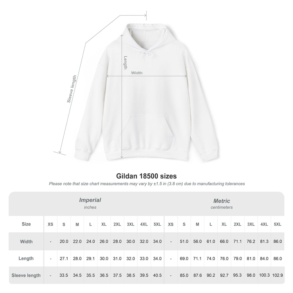 WiFi Fairies Are a Myth. You’re Welcome. Hoodie Sweatshirt | TowerLifeCo™